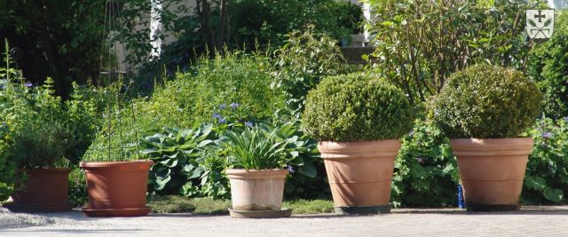 Gemeinde Fleischwangen